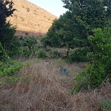 Κυθνος Δρυοπίδα, Στούντιο Χατζής Villa Dhriopis ภายนอก รูปภาพ