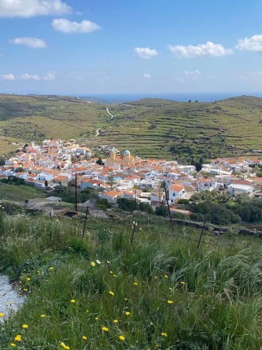 Κυθνος Δρυοπίδα, Στούντιο Χατζής Villa Dhriopis ภายนอก รูปภาพ