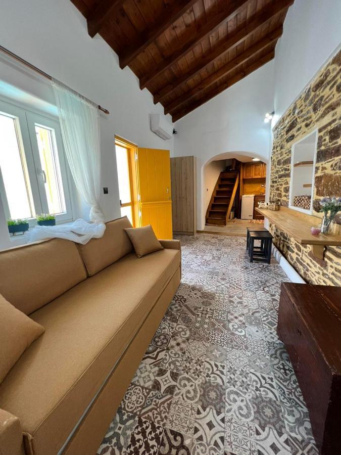Κυθνος Δρυοπίδα, Στούντιο Χατζής Villa Dhriopis ภายนอก รูปภาพ