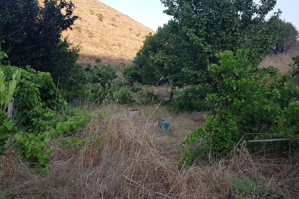 Κυθνος Δρυοπίδα, Στούντιο Χατζής Villa Dhriopis ภายนอก รูปภาพ